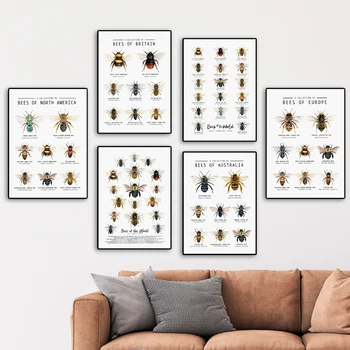 Илюстрация на Пчелите по света, плакати на скандинавскую тема и щампи, рисунки на насекоми върху платно, стенни картини за всекидневната, домашен декор