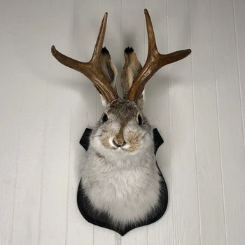 Монтиране на стена във формата на глава на елен за декорация на стените у дома, имитация на проба заек, декорации от смола, скулптура за спалня на закрито