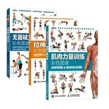 Разтягане + Тренировка силата на мускулите + Силова тренировка без оборудване Color Atlas Fitness Book Experience